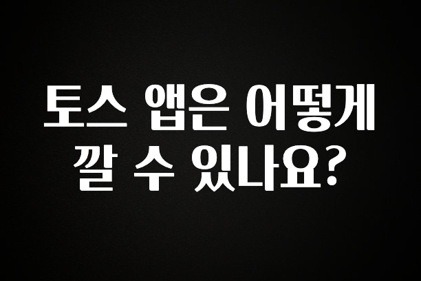 유튜브에서 난리난 정보 토스 앱은 어떻게 깔 수 있나요? 바로 소개합니다.