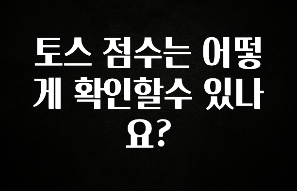 추가소식은 꼭 확인하자 토스 점수는 어떻게 확인할수 있나요? 최신정보