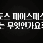 우리도 이렇게 하자 토스 페이스패스는 무엇인가요? 지금떳다
