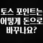 꾸준한 인기 토스 포인트는 어떻게 돈으로 바꾸나요? 추천드릴게요