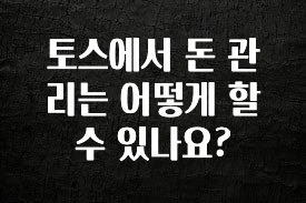 이정보美쳤다 토스에서 돈 관리는 어떻게 할 수 있나요? 요약본만 확인해보세요