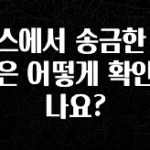 이것만 보고가기 토스에서 송금한 내역은 어떻게 확인하나요? 좋은 정보