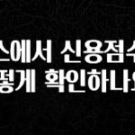 이달의 핫 토스에서 신용점수는 어떻게 확인하나요? 실간 리뷰