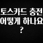 “후기” 꼭보세요 토스카드 충전 어떻게 하나요? 정직하게 소개해보겠습니다