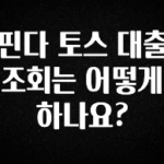 추가소식은 꼭 확인하자 핀다 토스 대출 조회는 어떻게 하나요? 30초면 확인 가능합니다