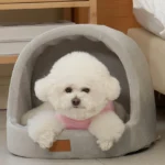 간단뉴스 강아지집 관심이 뜨겁습니다