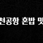 빠르게 확인 하세요! 인천공항 혼밥 맛집 추천드릴게요