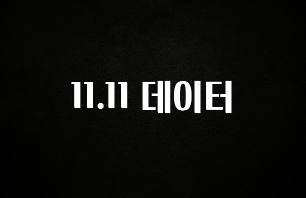 인플루언서가 공개한 11.11 데이터 지금떳다