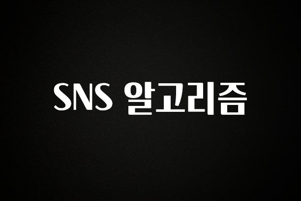 인스타 정보 SNS 알고리즘 궁금하신가요?