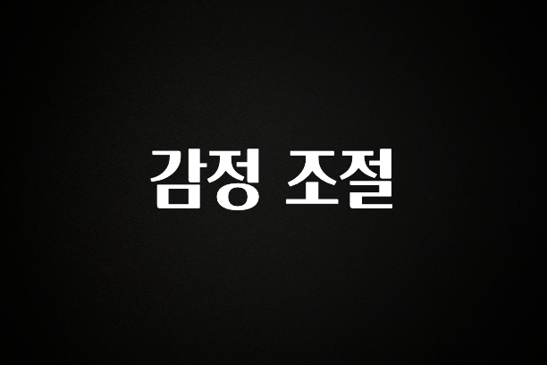 “꼭”저장해두세요 감정 조절 관심이 뜨거운 이유 입니다