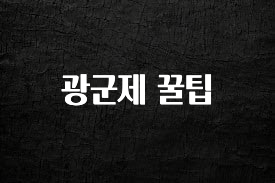 싹 다알려줌 광군제 꿀팁 확인해보세요