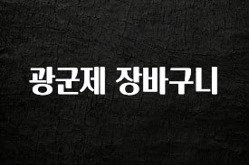 놓치지말고 광군제 장바구니 잠깐 확인해보세요