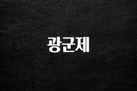 대박인 증거 광군제 요약정리