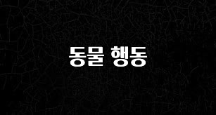 품절이 임박한 동물 행동 실사용 후기