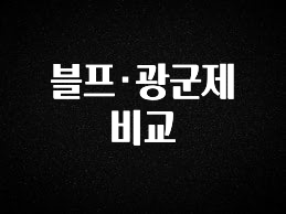 재구매율 1위 블프·광군제 비교 좋은 정보