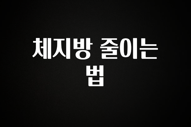 올해 이것모르면 손해 체지방 줄이는 법 후회하지 않습니다