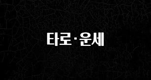 사랑을 담은 타로·운세 요약본만 확인해보세요