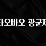 실시간 반응 터진 타오바오 광군제 군말없이 소개합니다