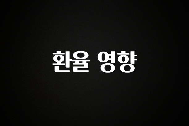 꼭 써야하는 환율 영향 추천드릴게요