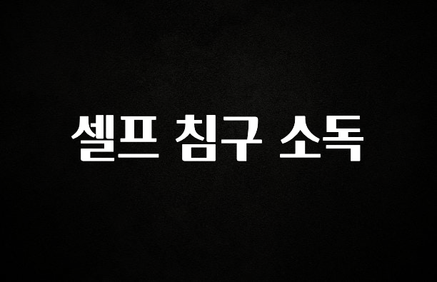 정성을 담은 셀프 침구 소독 확인해보세요