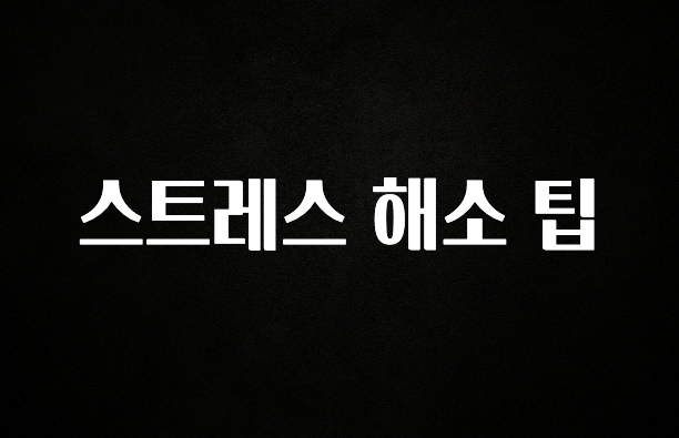 인스타 정보 스트레스 해소 팁 바로 소개합니다.