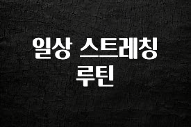 핫 소식 일상 스트레칭 루틴 최신정보